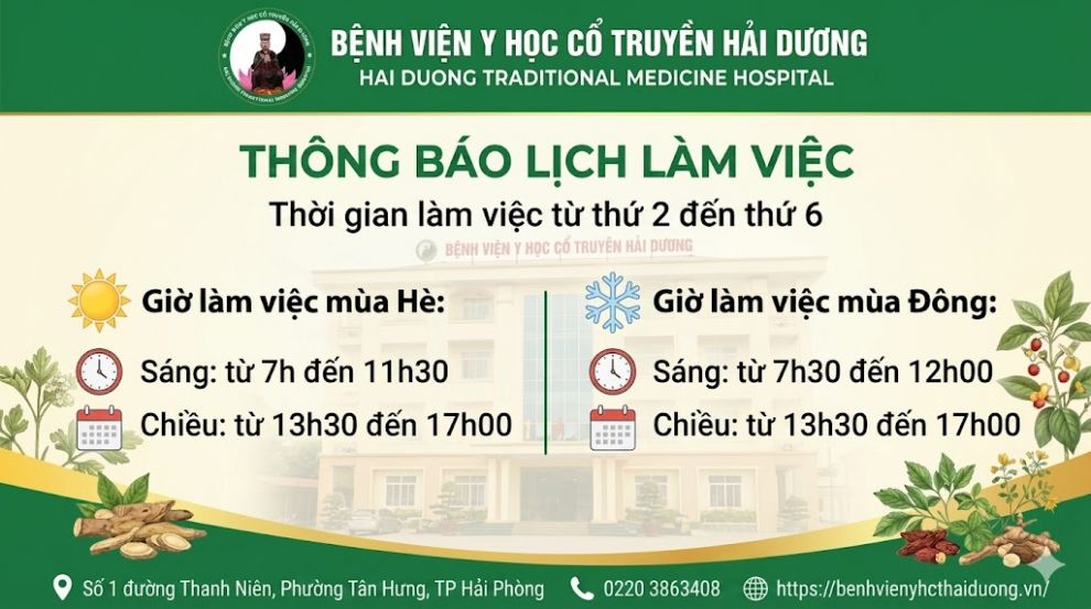 bvyhcthd_tglv.990
